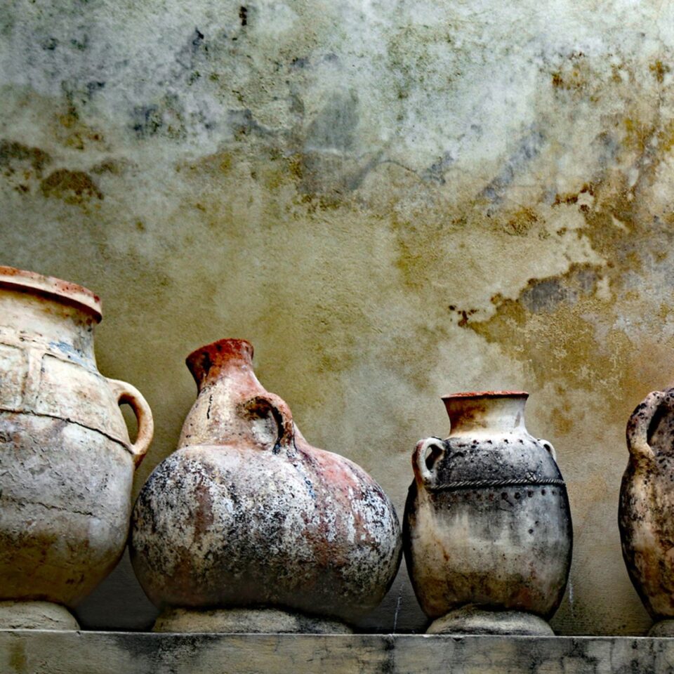 Lola Reid Allin Gallery Image