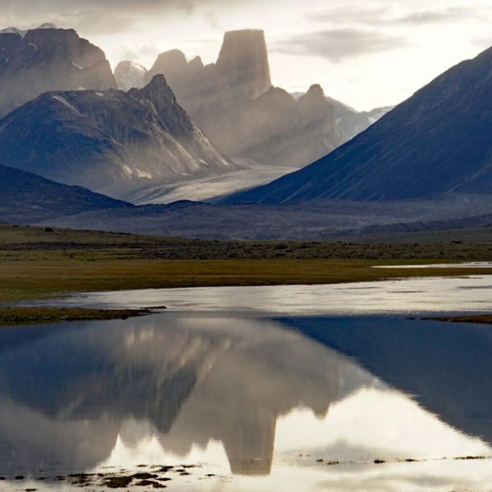 Lola Reid Allin Gallery Image