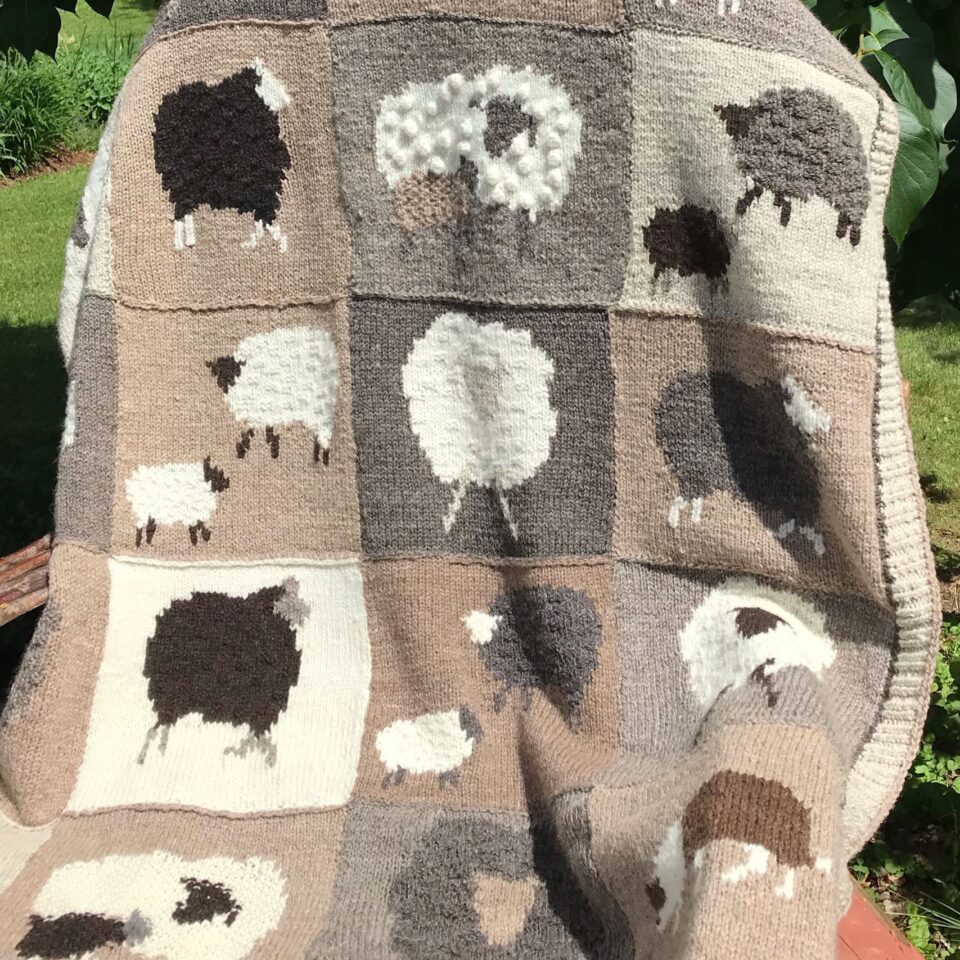 Belleville Weavers and Spinners Guild Gallery Image