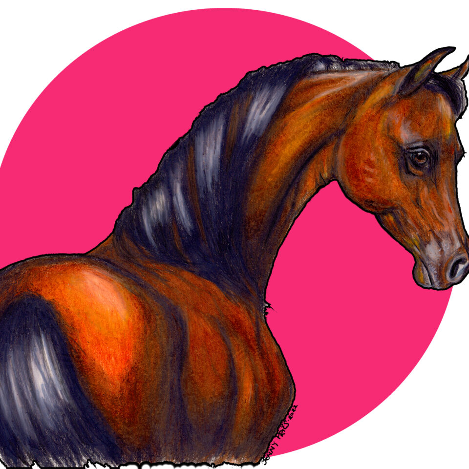 Pop Art Horse for Art Merch