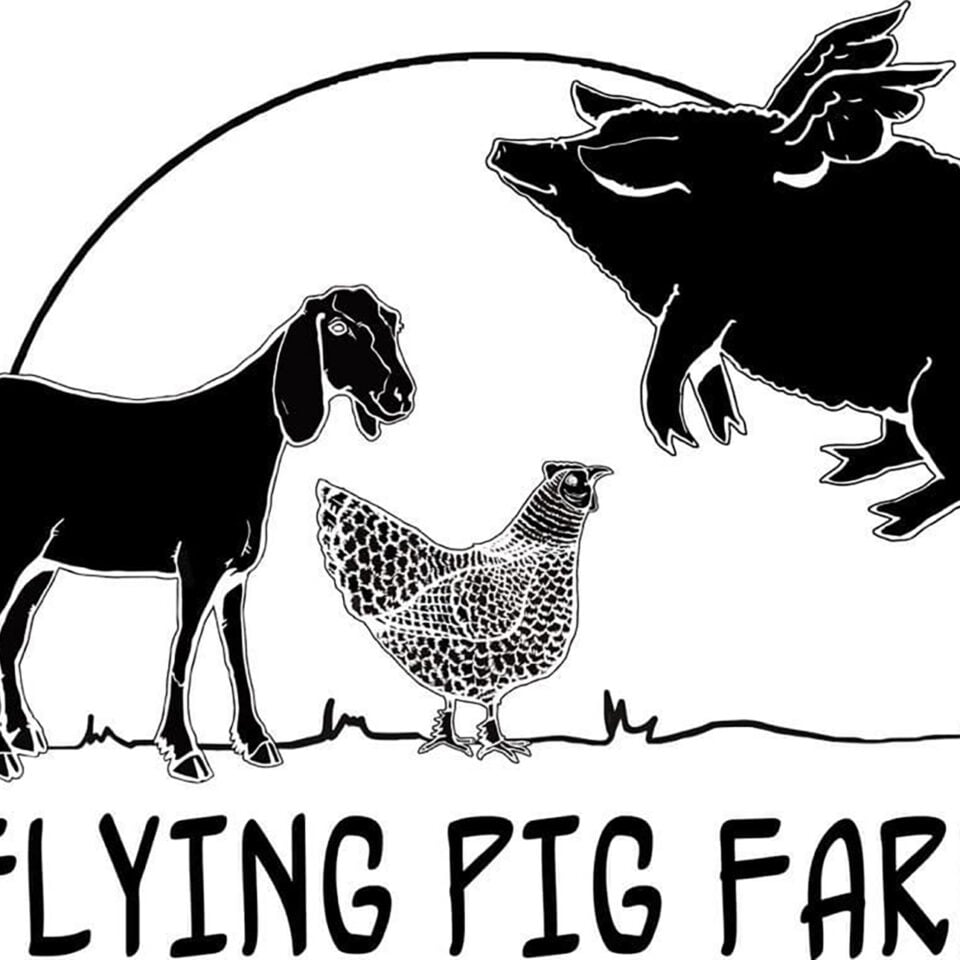 Flying Pig Farm illustrated Logo