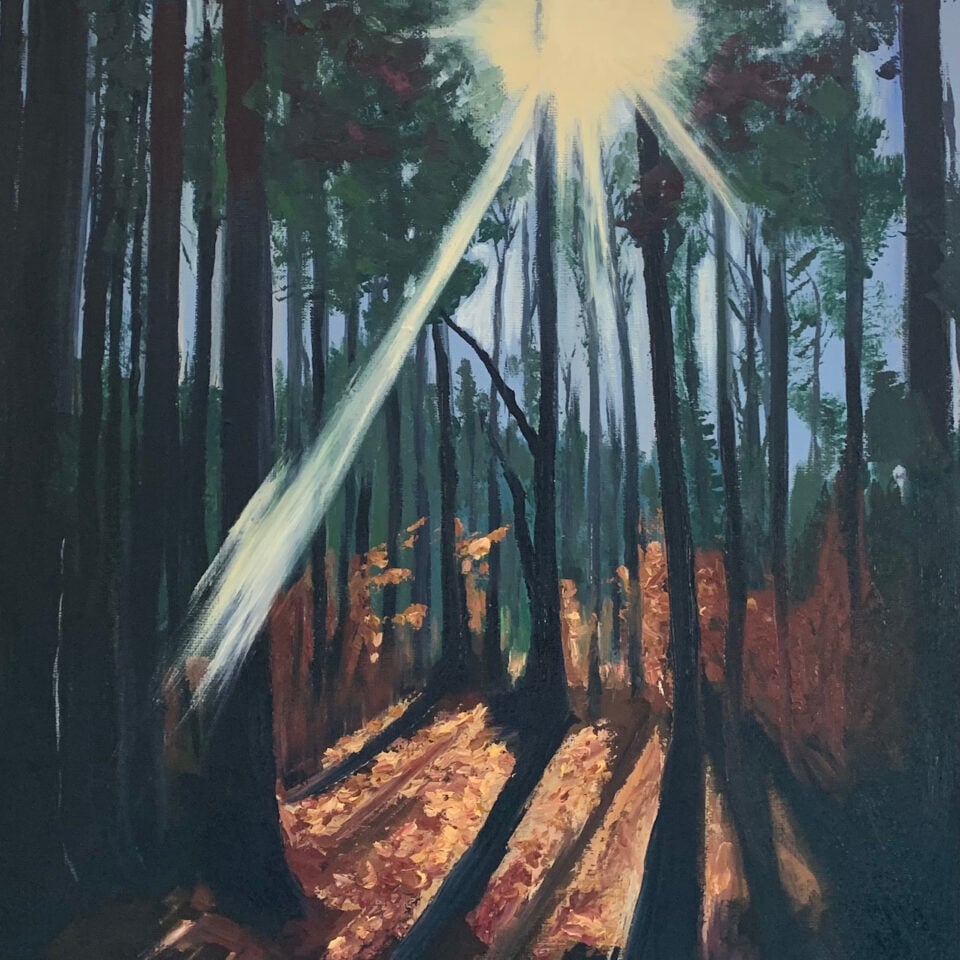 Bev Shepherd Gallery Image