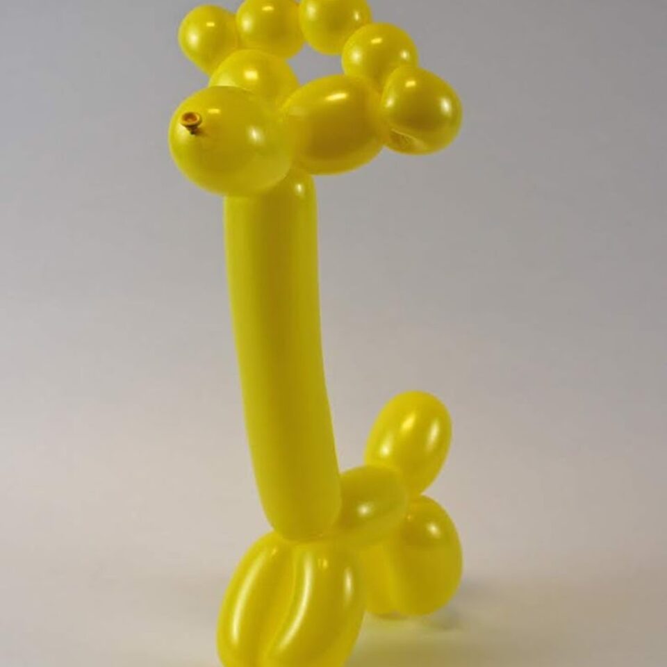 Christopher the Twistopher Gallery Image