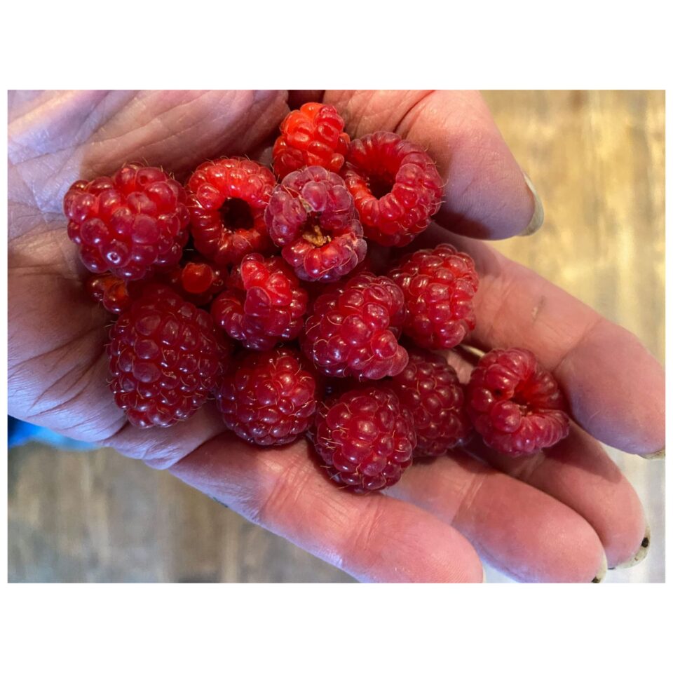 Ren Duinker Gallery Image