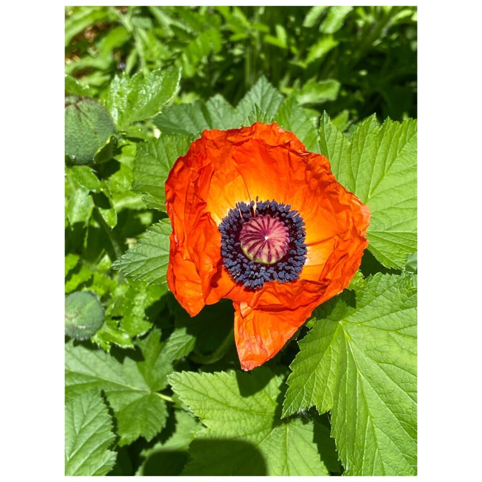 Ren Duinker Gallery Image