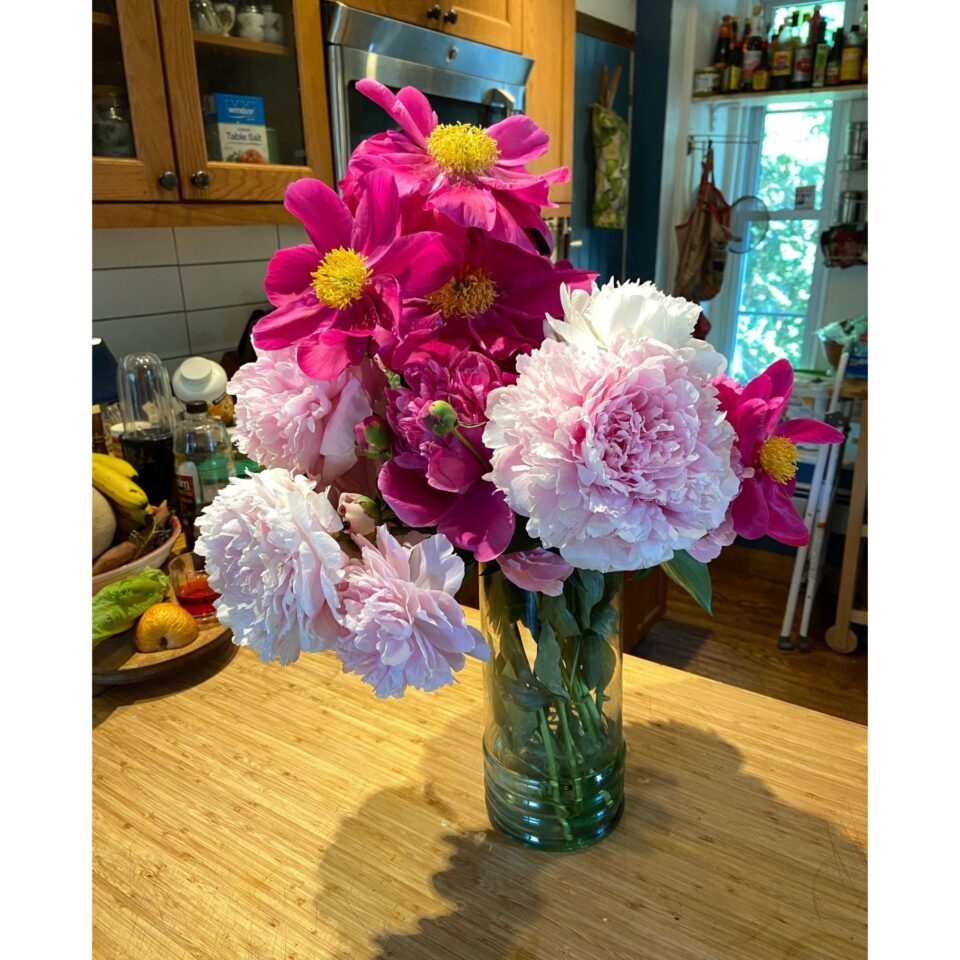 Ren Duinker Gallery Image