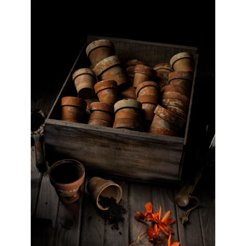 Christopher Gentile Gallery Image