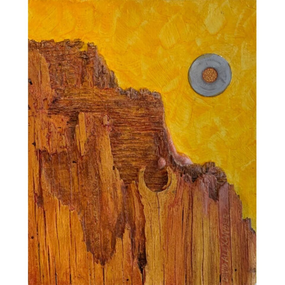 David Alexander Gallery Image