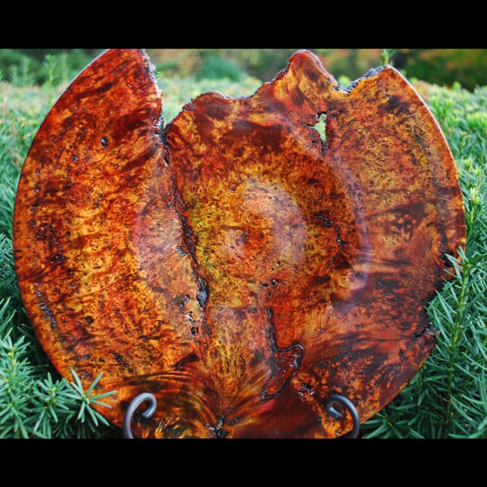 James Walt Gallery Image