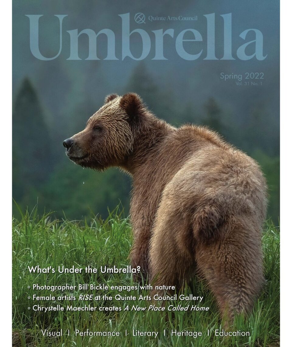 Umbrella Magazine Archives