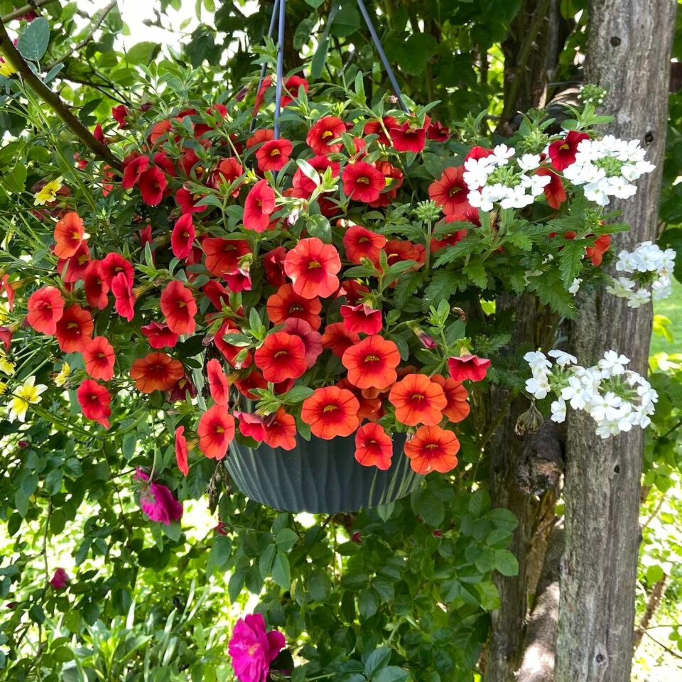 Ren Duinker Gallery Image