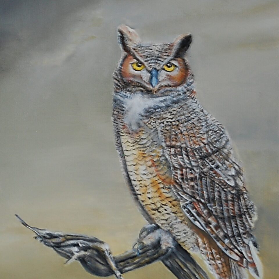 Christopher Cruikshank Gallery Image