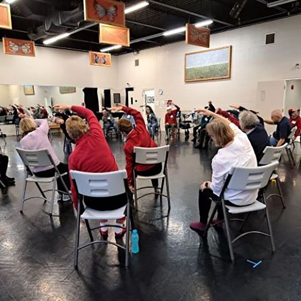 Jane Gardner Gallery Image