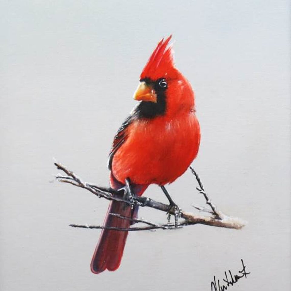 Christopher Cruikshank Gallery Image