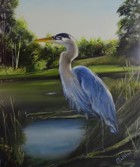 Christopher Cruikshank