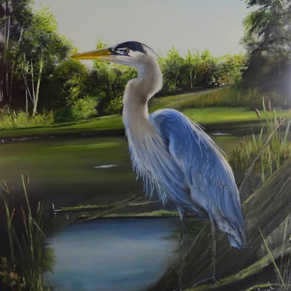 Christopher Cruikshank Gallery Image