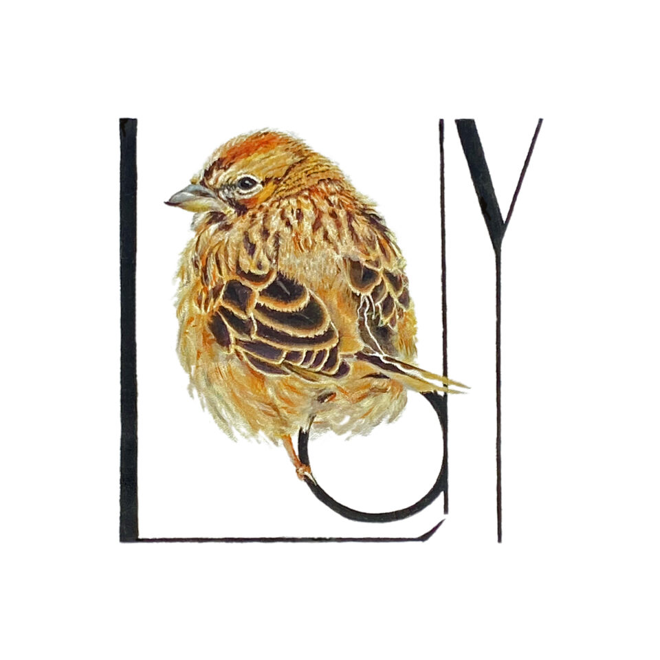 LADY BUGYRA Gallery Image