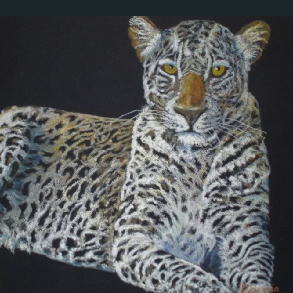 Donna Bonin Gallery Image