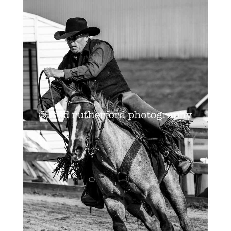 Fred Rutherford Photography Gallery Image