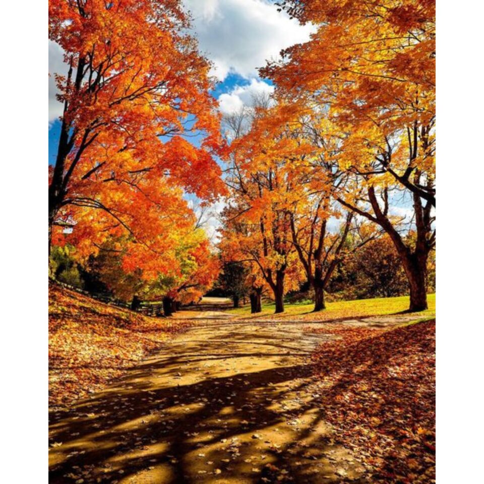 Fred Rutherford Photography Gallery Image