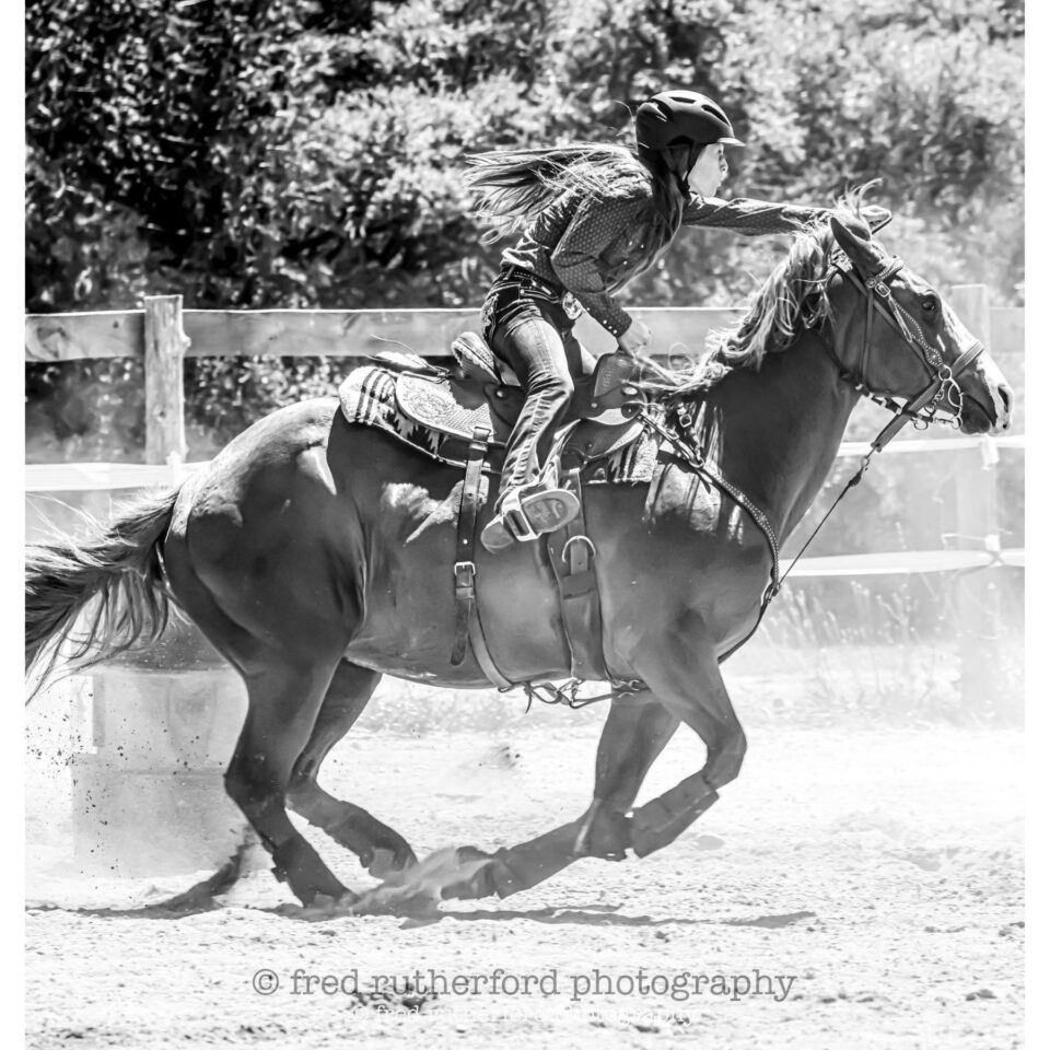 Fred Rutherford Photography Gallery Image