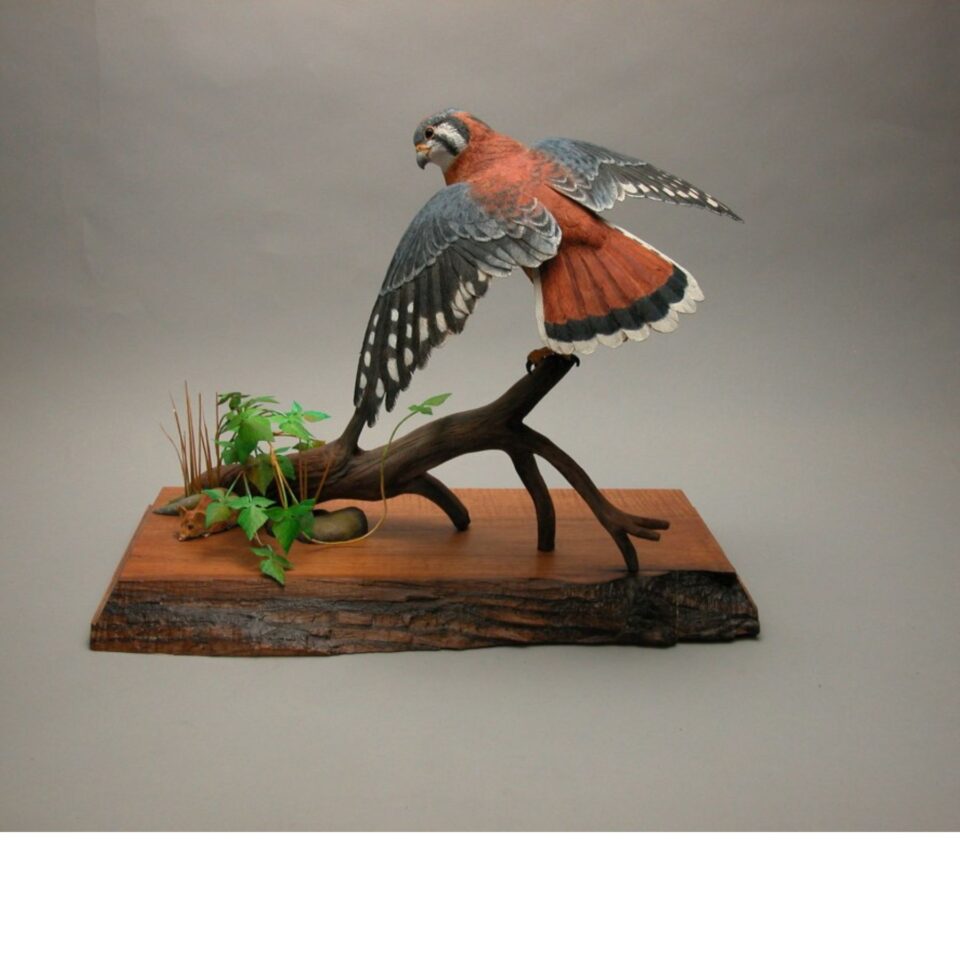 Bird on Branch