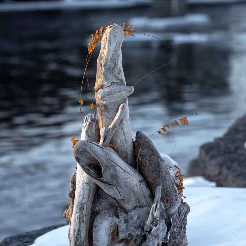 Photo Credit: Ethan Cairns