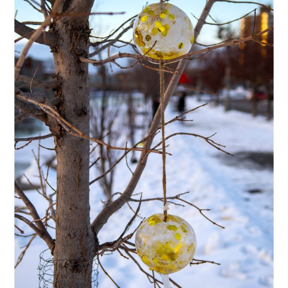 Photo Credit: Ethan Cairns