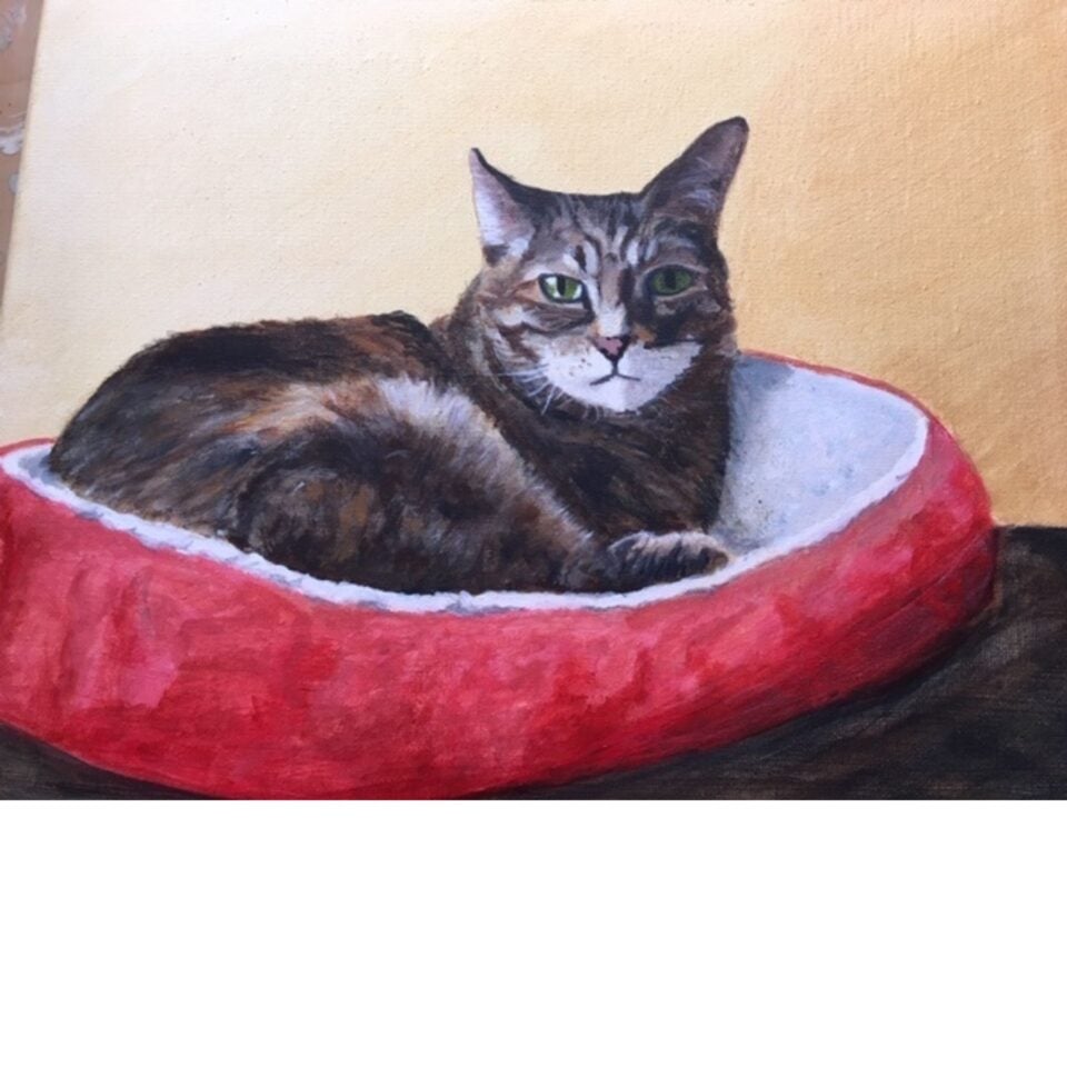 Hilary Dorricott Gallery Image