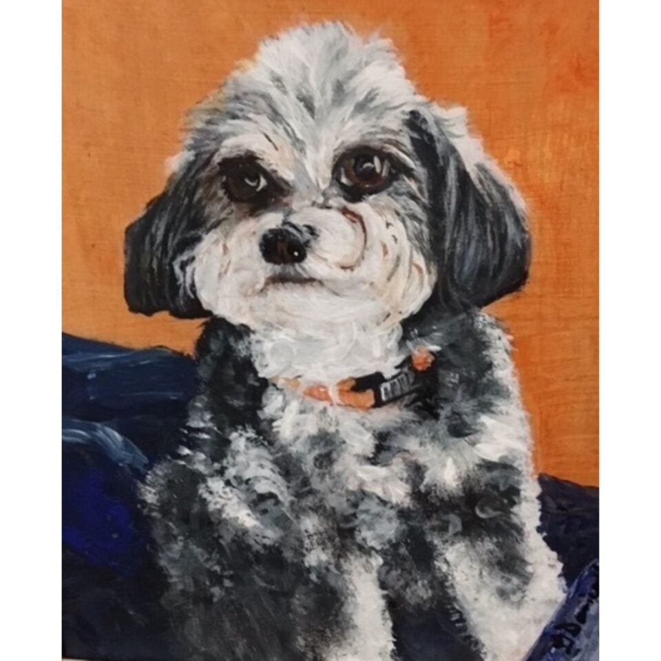 Hilary Dorricott Gallery Image