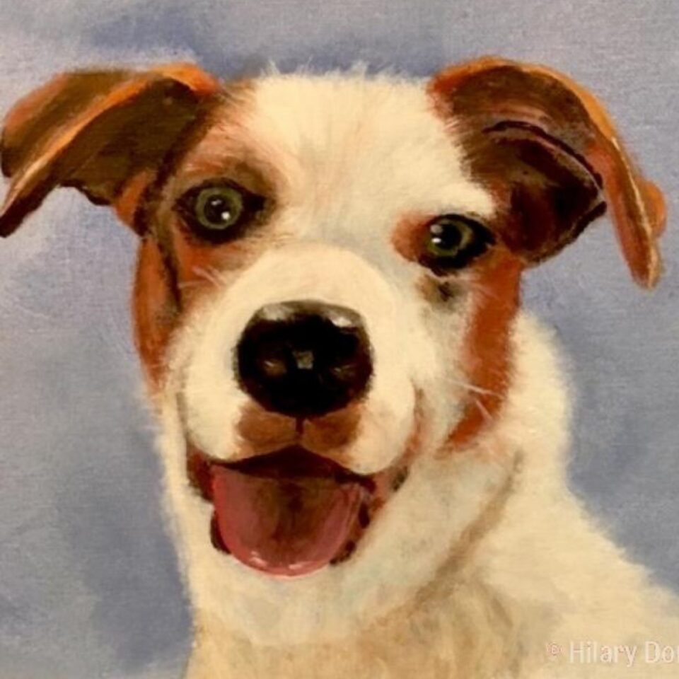 Hilary Dorricott Gallery Image