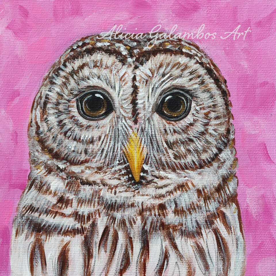 Alicia Galambos Gallery Image