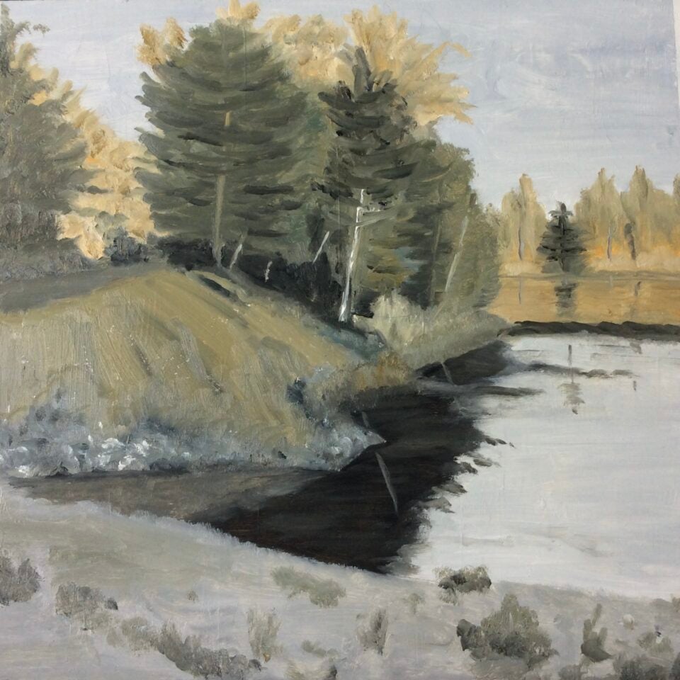 Hilary Dorricott Gallery Image