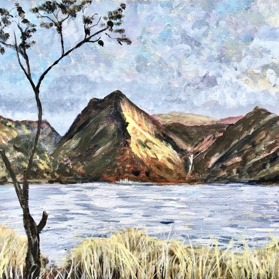 Hilary Dorricott Gallery Image