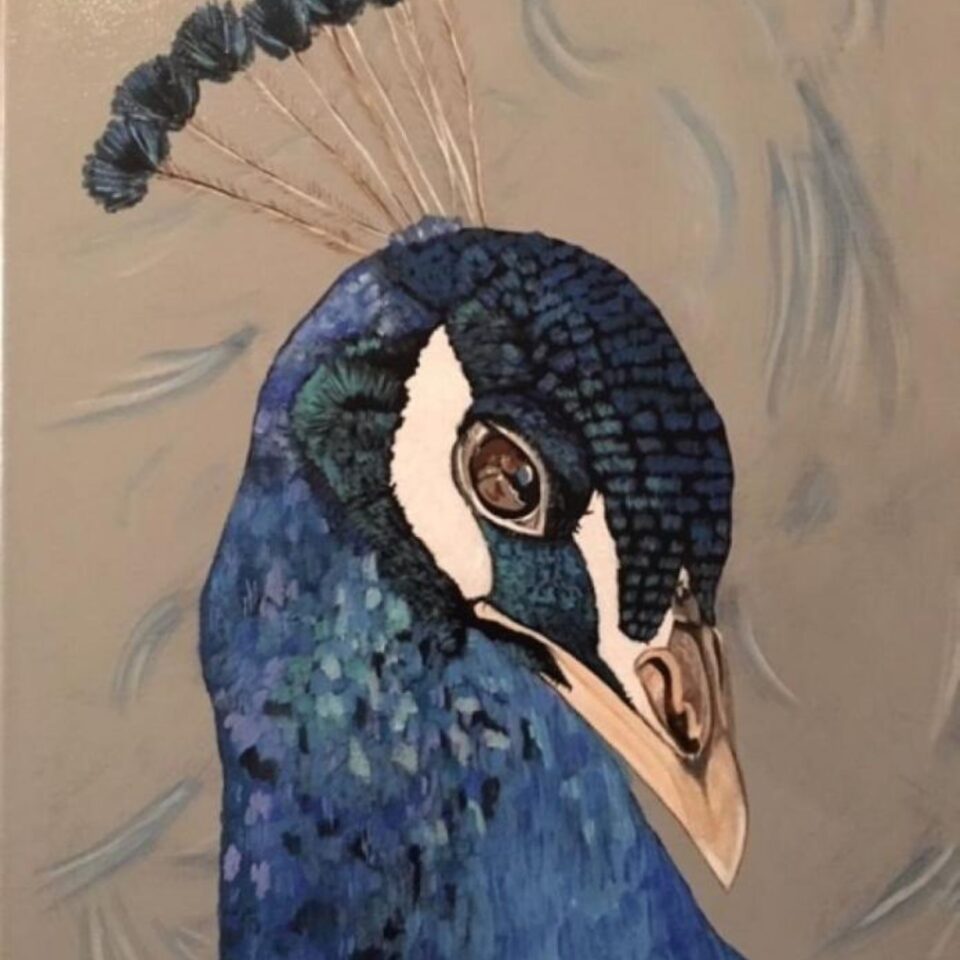 Peacock