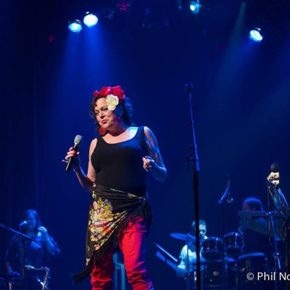 Debra Tosh Gallery Image