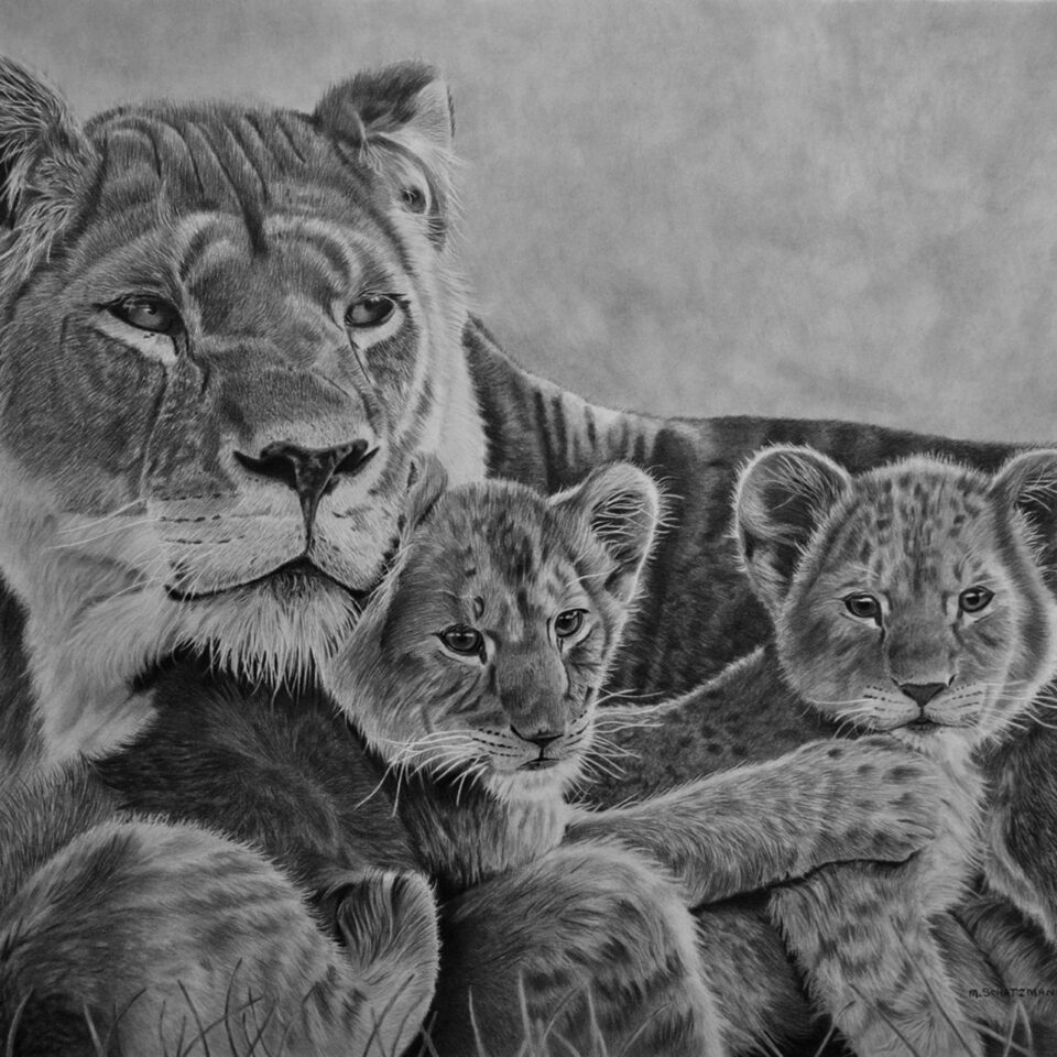 Beneath Her Watchful Eye - Graphite Pencil