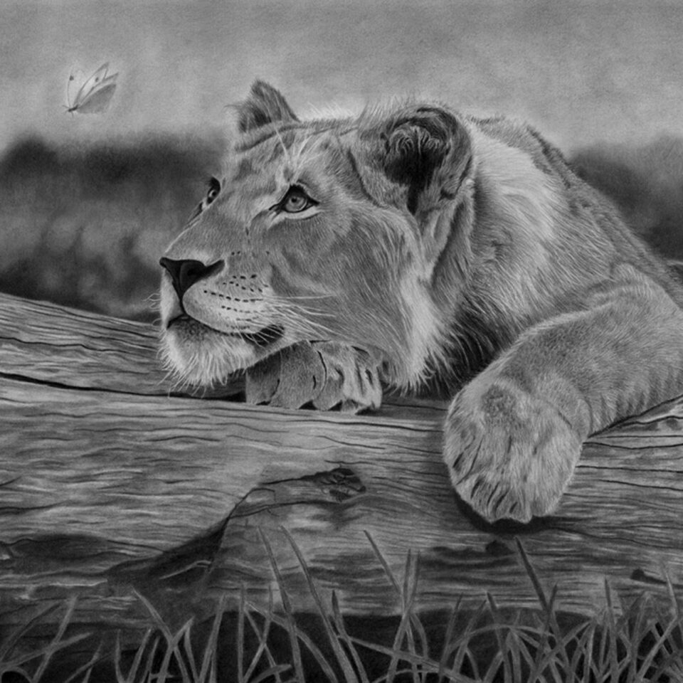 The Beauty of Patience - Graphite Pencil