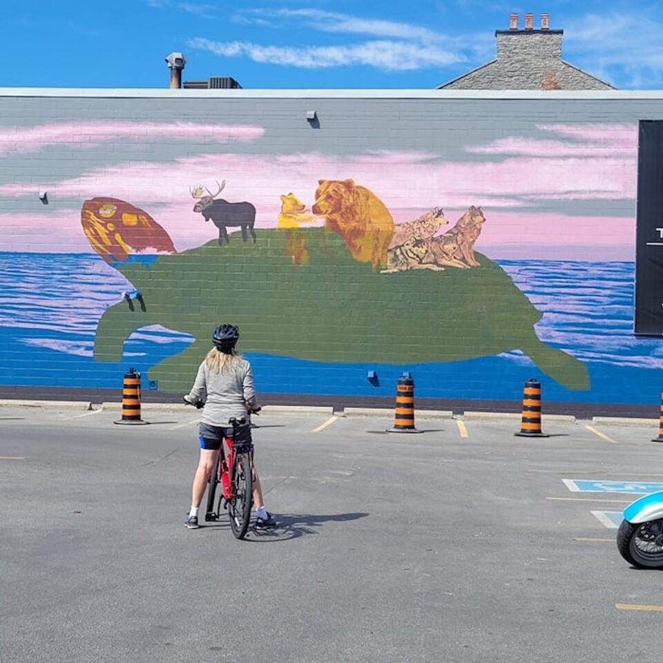 Turtle Island Mural