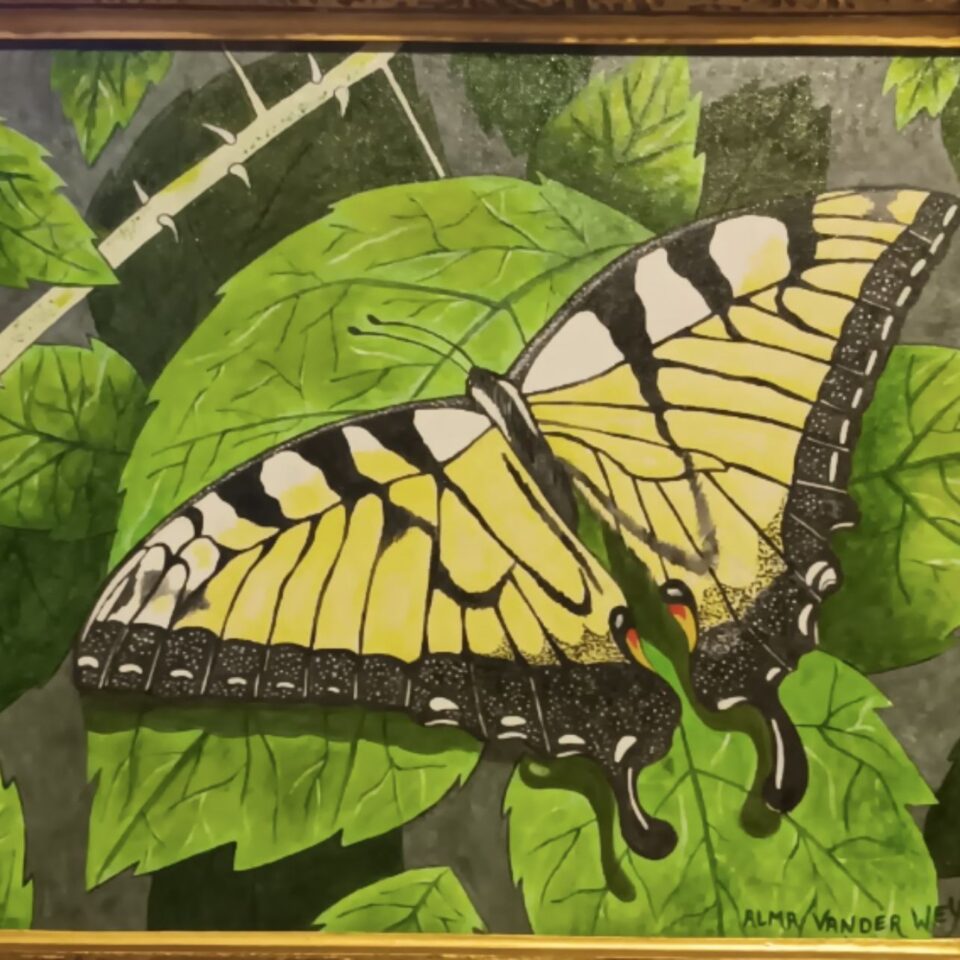 Alma Vander Wey Gallery Image