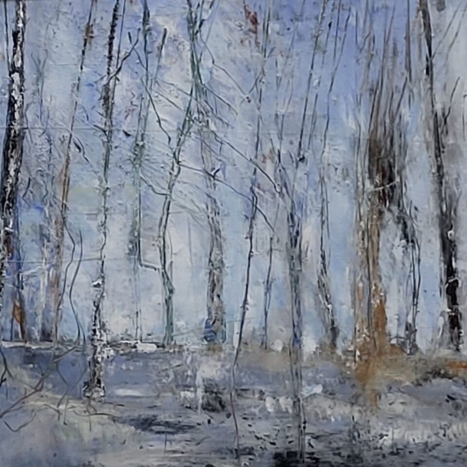 WForest Pond in January