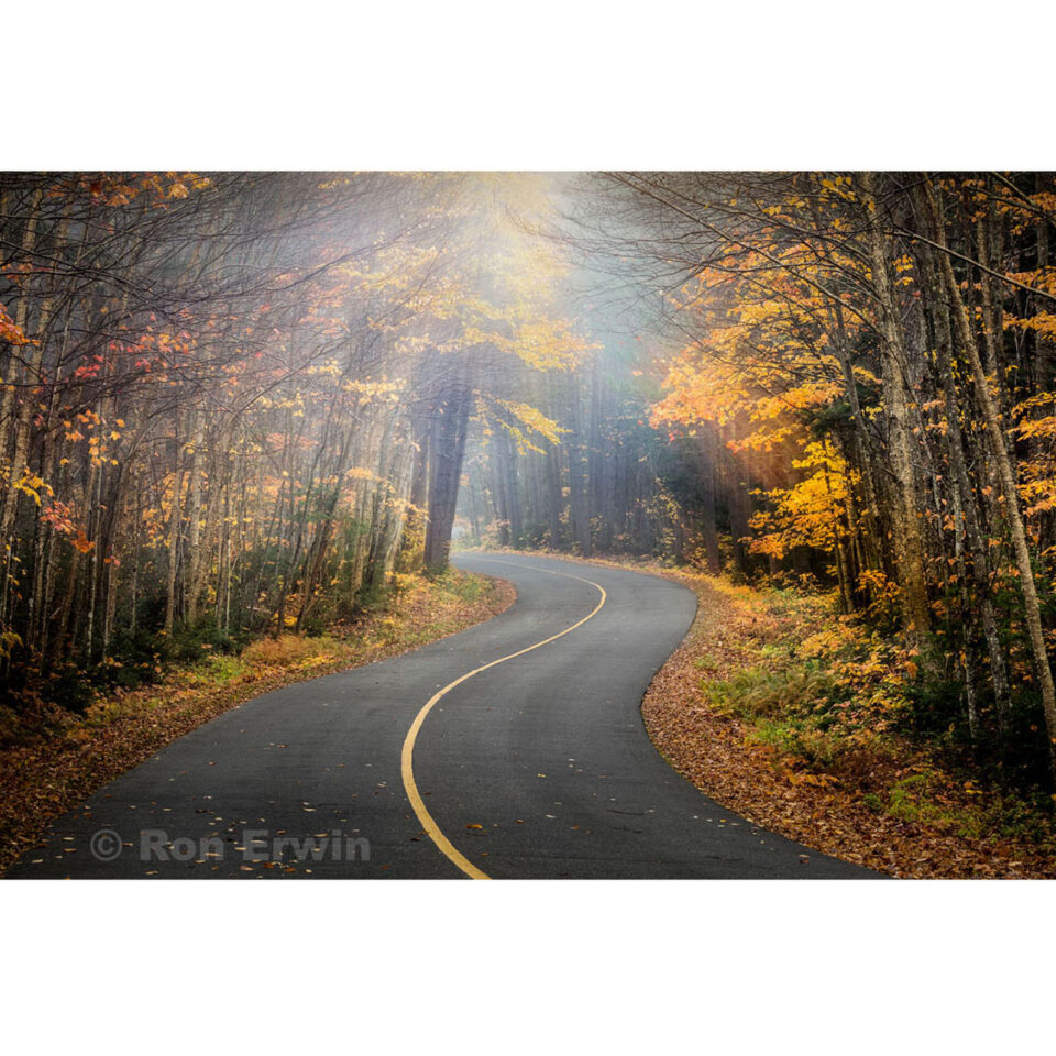 Into the Mystic: fog on road in Algonquin Provincial Park, Ontario