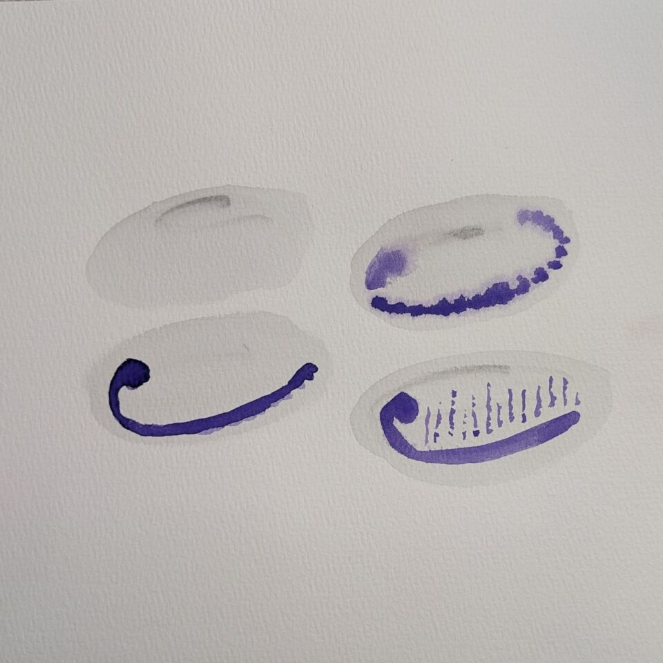 Dendra Hillier Gallery Image