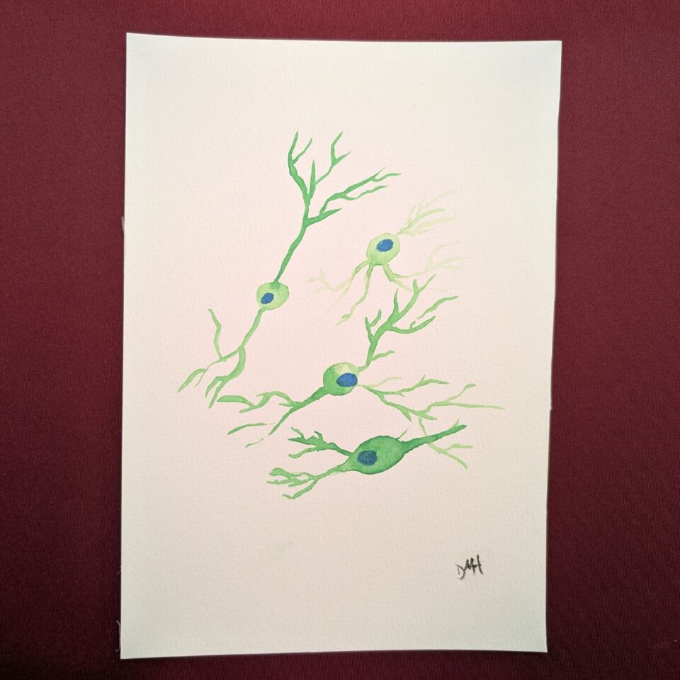 Dendra Hillier Gallery Image