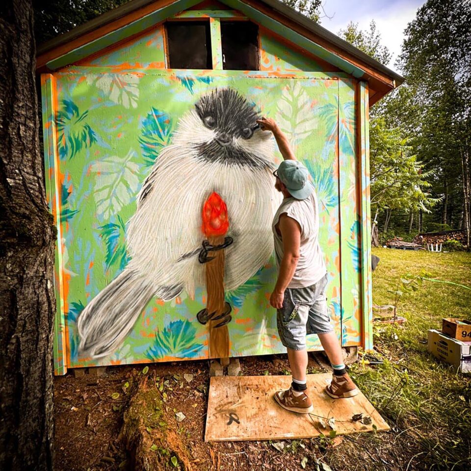 Jamie Janx Johnston Gallery Image