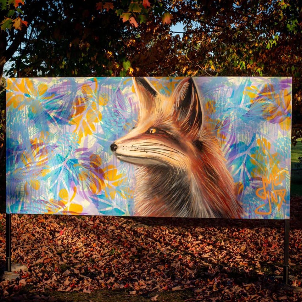 Jamie Janx Johnston Gallery Image