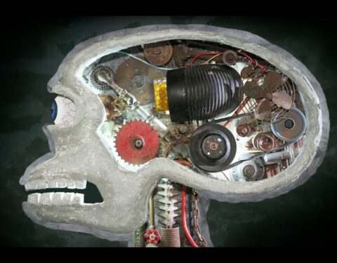 Animated Aesthetic: Bridging Disciplines