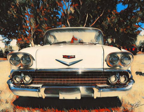 Alternative photography and art