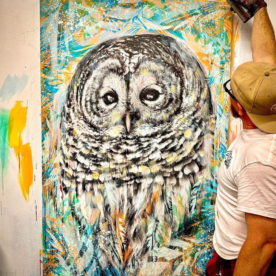 Jamie Janx Johnston Gallery Image