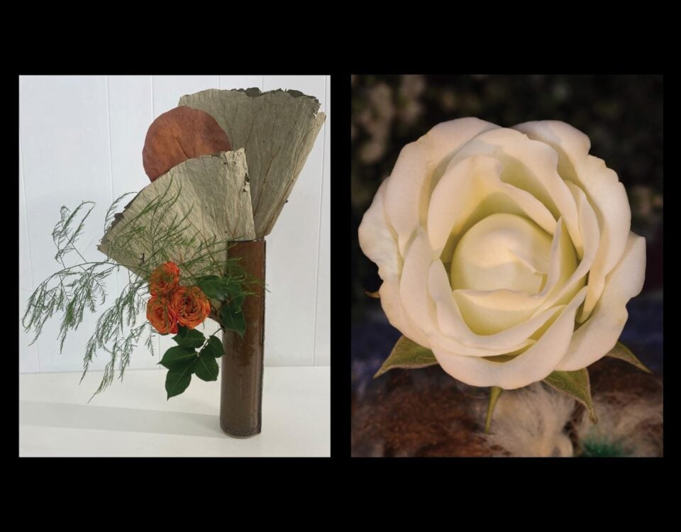 Detailed Harmony: An Exploration of Form, Nature, and Stillness